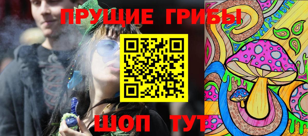 Нерюнгри  Псилоцибиновые грибы Psilocybe  Вход с VPN  Псилоцибиновые грибы MAGIC MUSHROOMS 